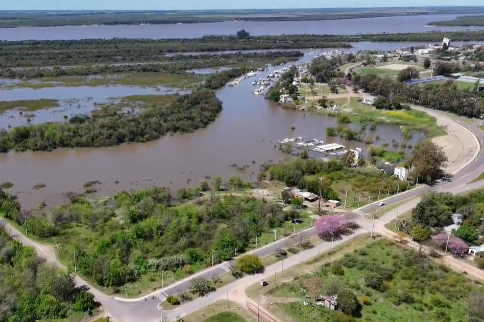Captura-de-pantalla-2025-10-29-121557
