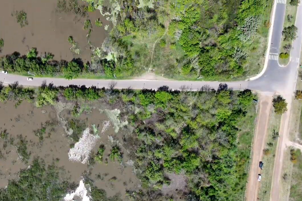 Captura de pantalla 2025-10-29 121632